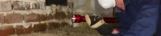 Pest control technician inspecting a crawl space for ant activity and entry points in Long Beach, CA