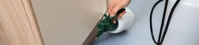 Bed bug exterminator treating baseboards and cracks with targeted spray in Long Beach, CA