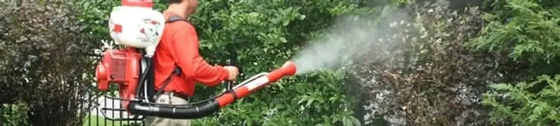Mosquito control technician fogging shrubs and landscaping for mosquito treatment in Long Beach, CA