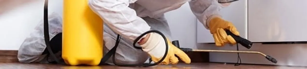Roach exterminator treating cracks and crevices along kitchen baseboards in Long Beach, CA