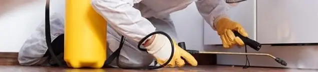 Roach exterminator treating cracks and crevices along kitchen baseboards in Long Beach, CA