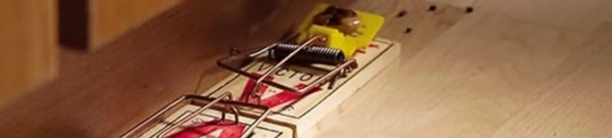 Rodent trap set indoors for rodent control and prevention in Long Beach, CA
