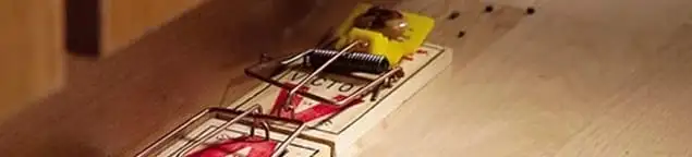 Rodent trap set indoors for rodent control and prevention in Long Beach, CA