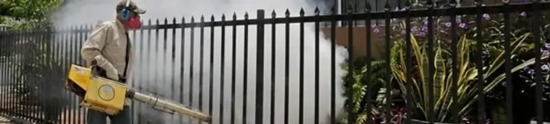 Mosquito control technician fogging a yard perimeter for mosquito reduction in Long Beach, CA
